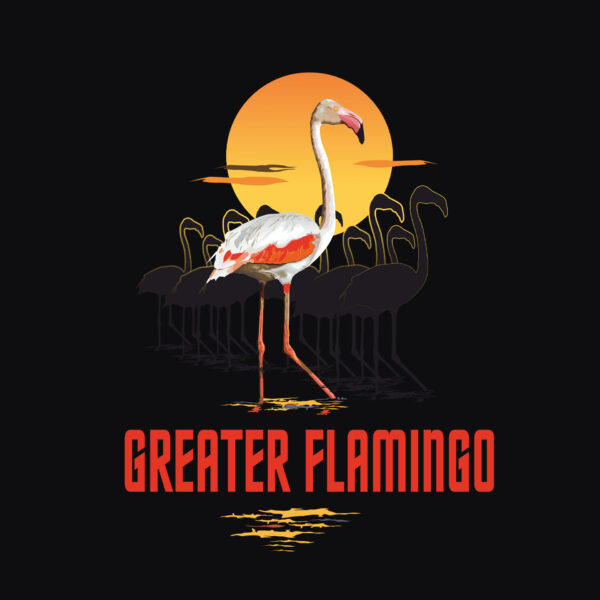 Jungle I The greater flamingo