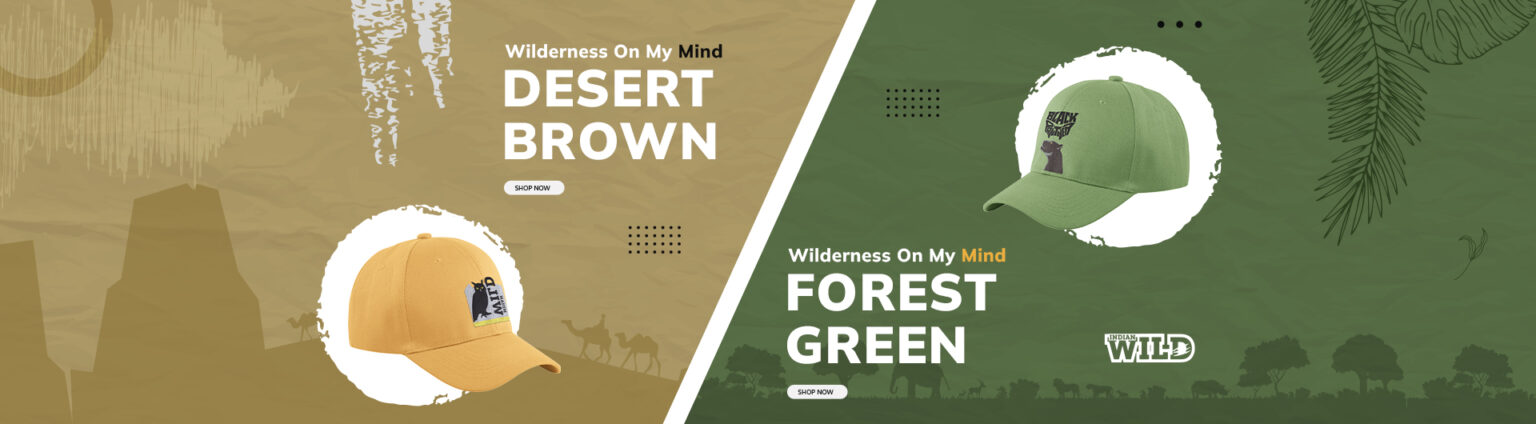 Jungle I banner